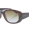 Limited Quantity Available: Sunglass Hut Polarized Sunglasses - Ships Same/Next Day!