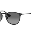 Ray-Ban Erika Pilot Sunglasses - Ships Quick!