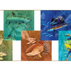 5-Rolls of River's Edge Guy Harvey Gift Wrap - Ships Quick!
