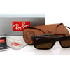 Ray-Ban Matte Havana Plastic Sunglasses W/ Brown Polarized Lens (RB4214 609283)