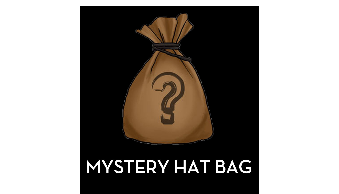Hats/Caps Mystery Bag - 5 or 10 Pack Options - Ships Next Business Day!