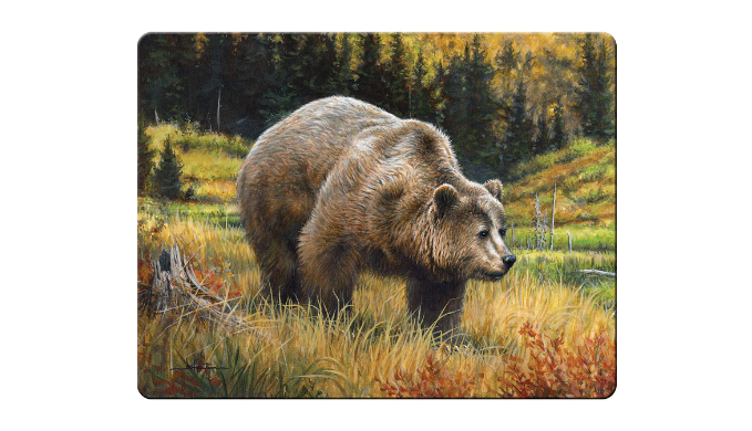 5-Pack: Grizzly Bear Glass Cutting Board + 4 Fish Cutting Boards |  1Sale Exclusive -  Ships Quick!